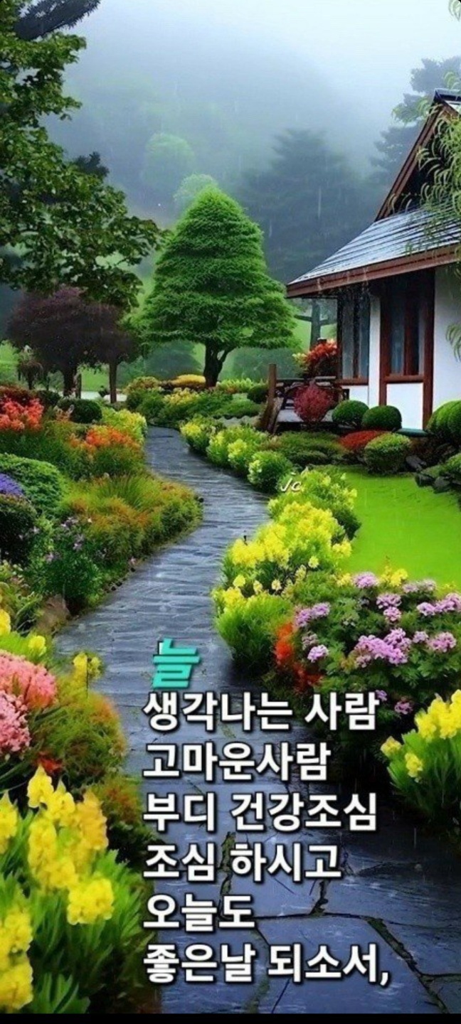 심 이미지