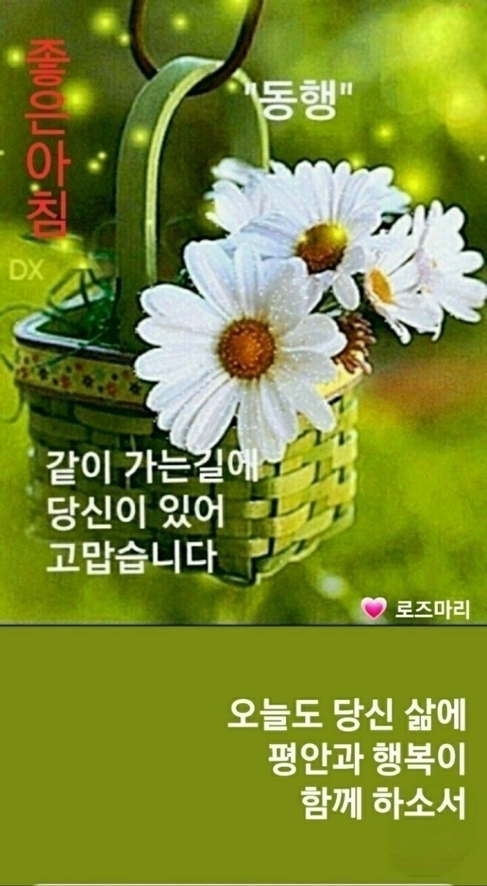 즐거운하루 이미지