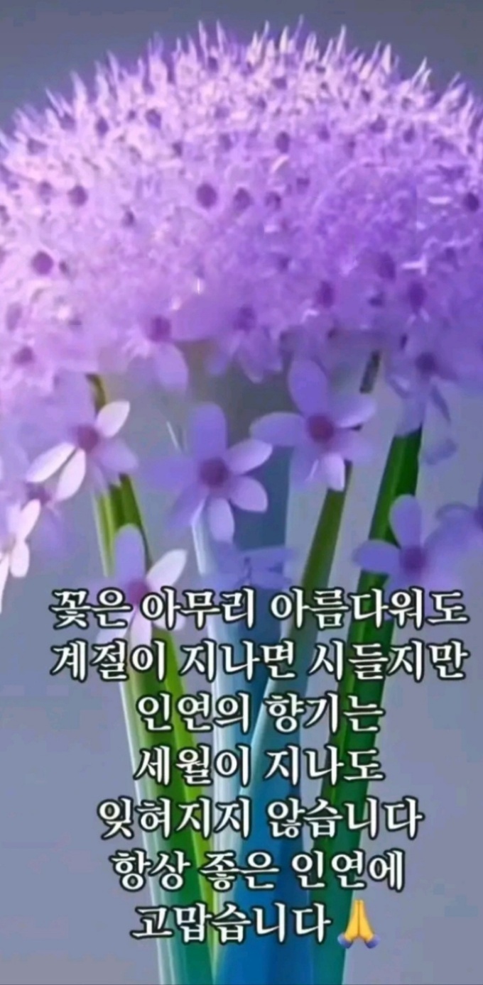 좋은인연 이미지