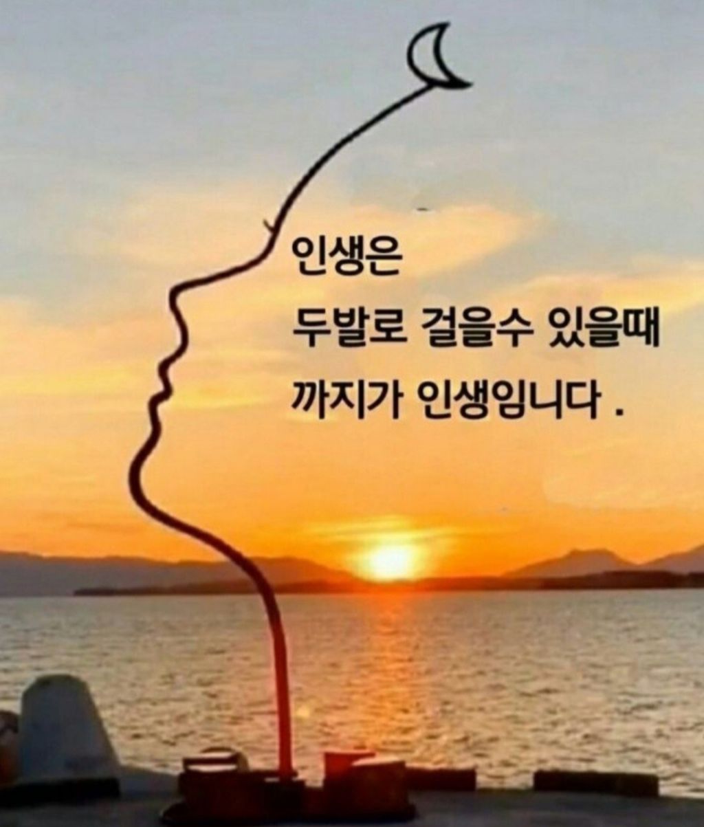 카페모임 이미지