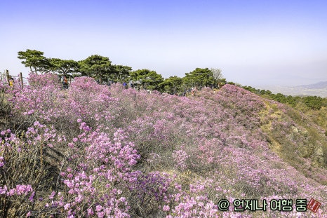 선경주유소 이미지
