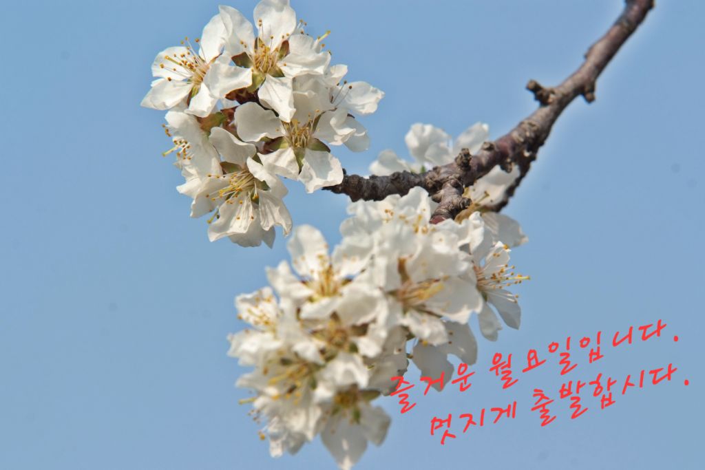 동영사 이미지