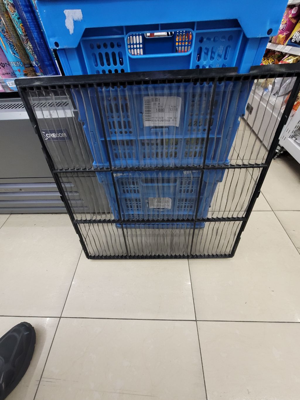 대학사 이미지