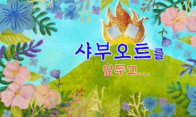 샤부 이미지