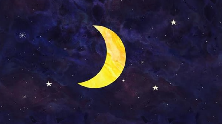 로쉬(ROSH) 이미지