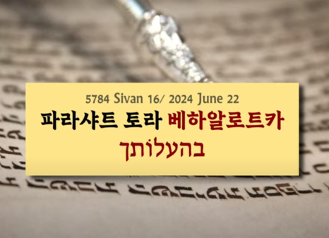 토라 이미지