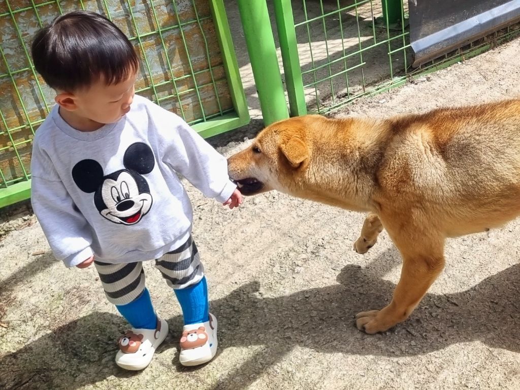 가가 이미지