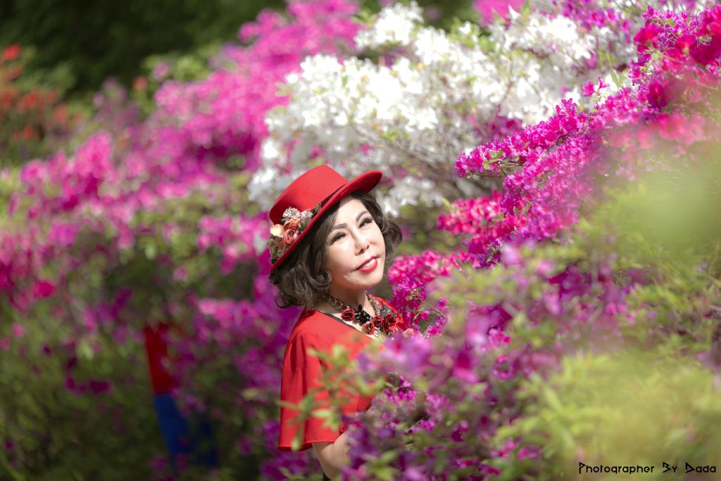 다다 이미지
