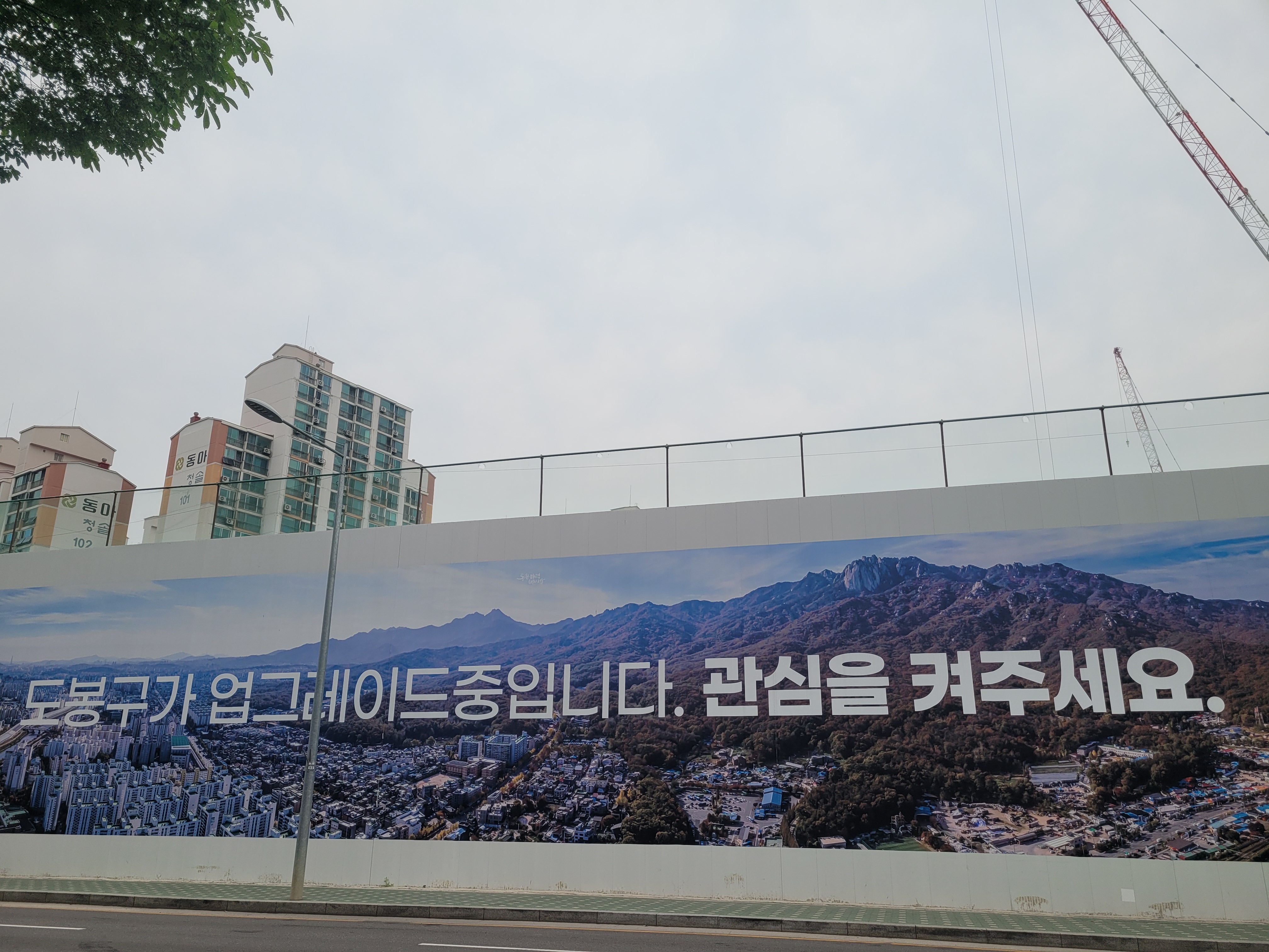 박보영김밥 이미지