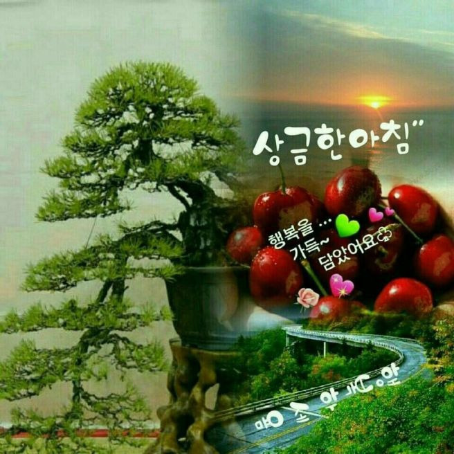 행복한 이미지