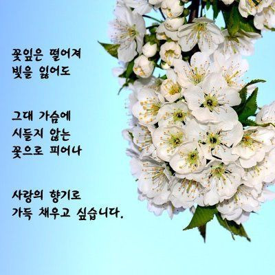 행복사진 이미지