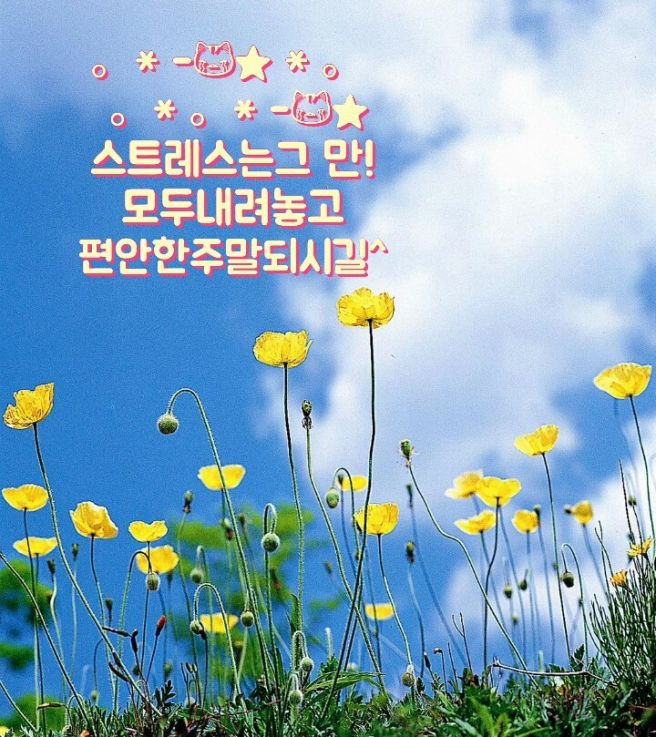 행복 이미지