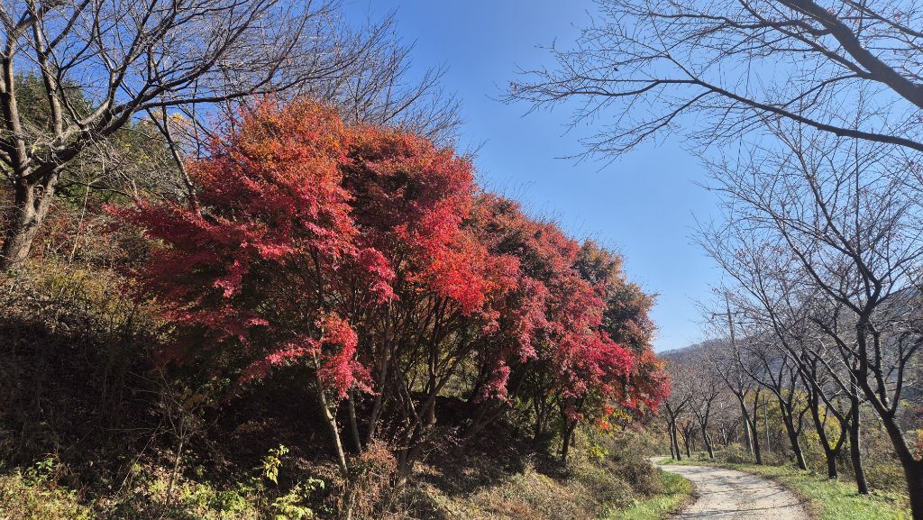 두리서 이미지