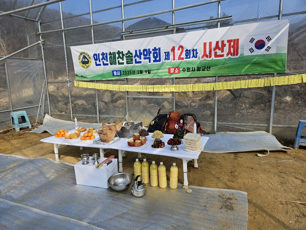해찬솔 이미지