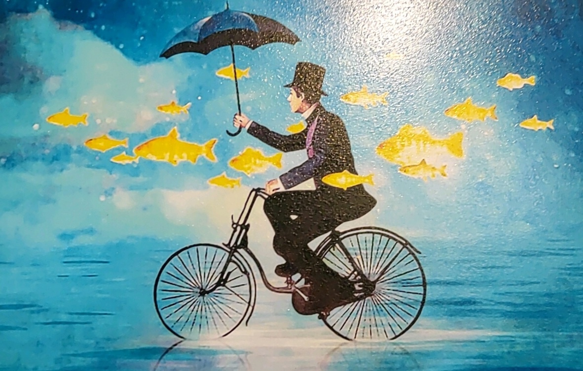 마이모 이미지