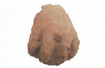 가람기획 이미지