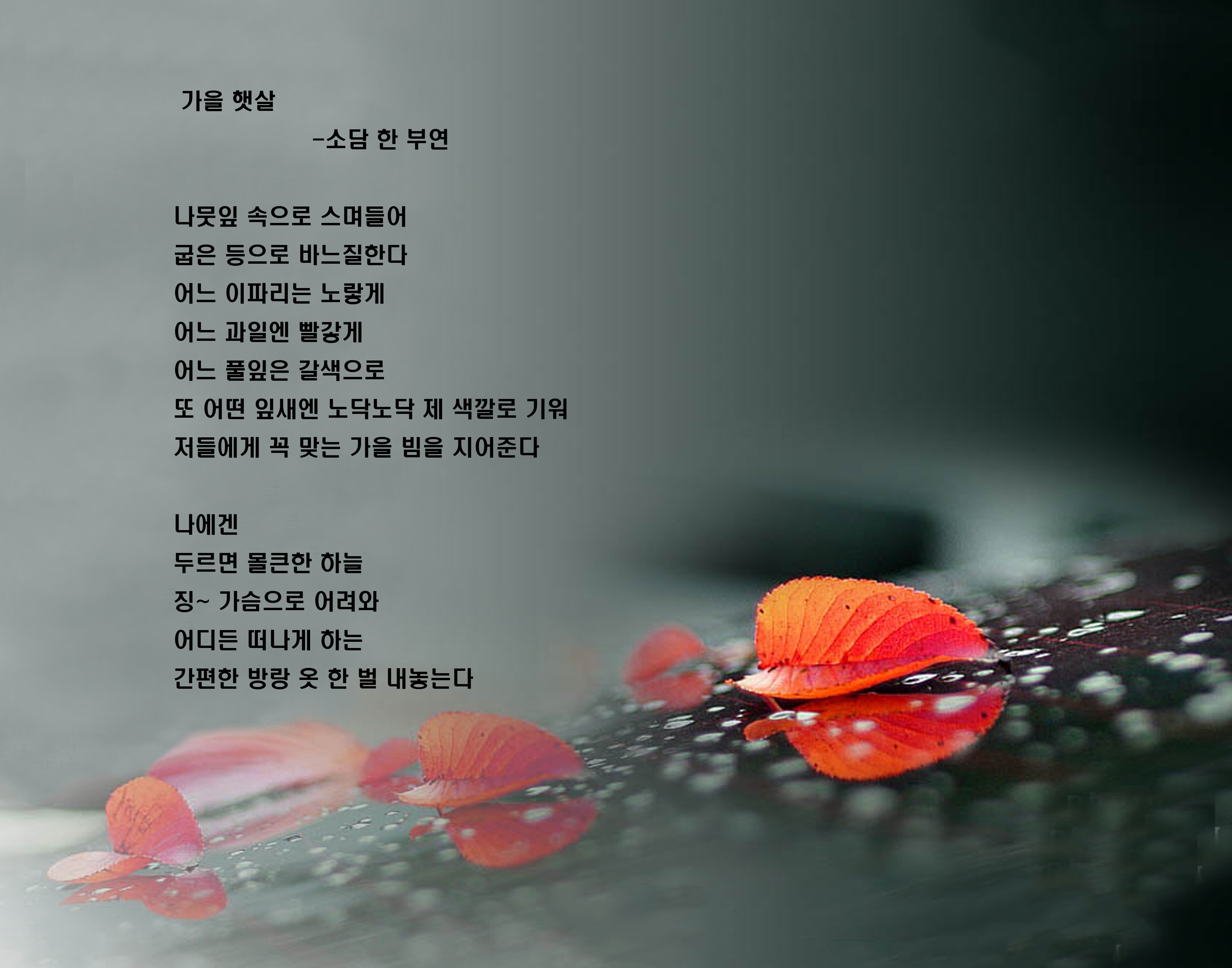 한부연 이미지