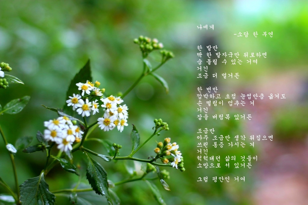 한부연 이미지