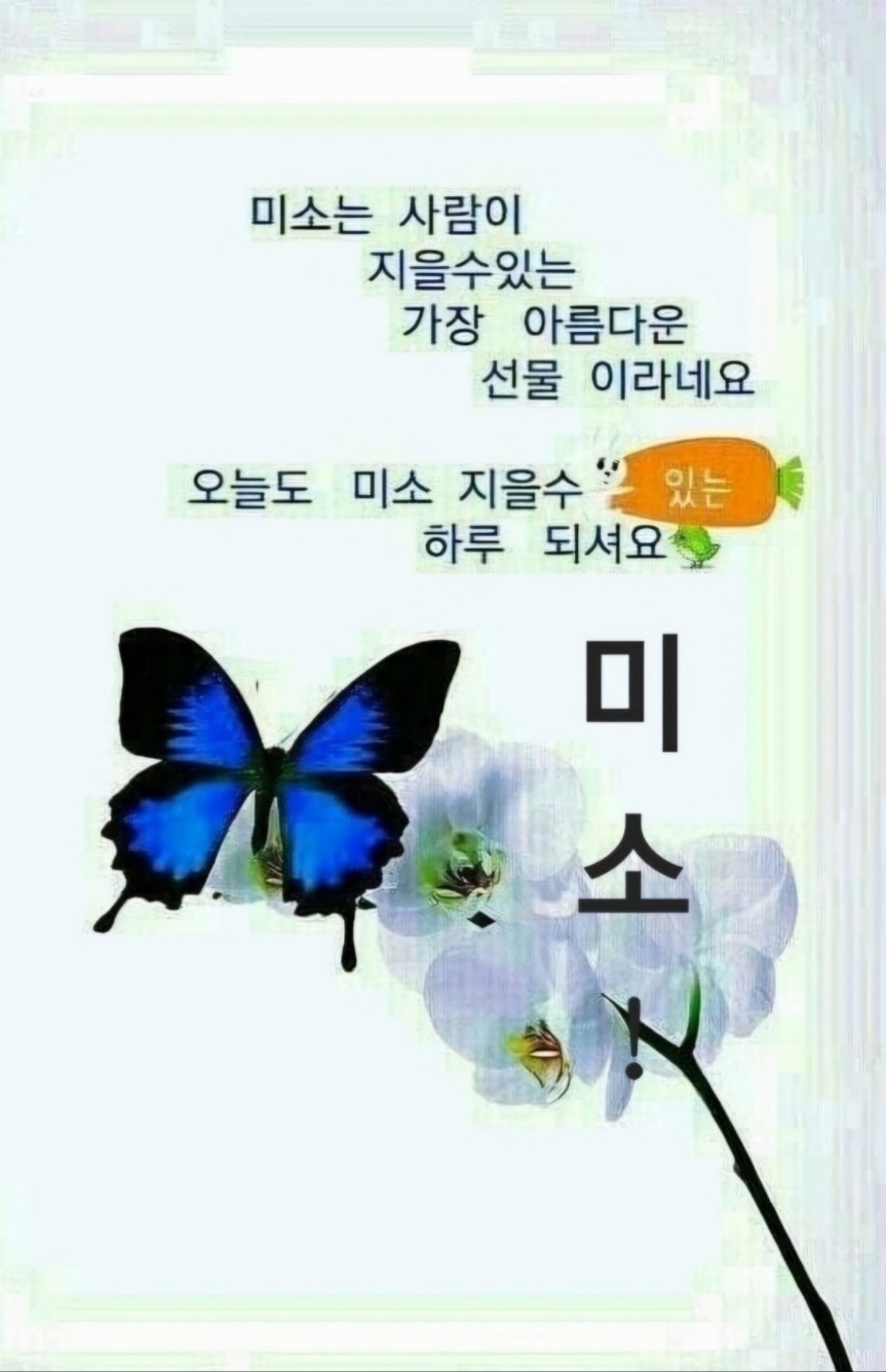 여울 이미지
