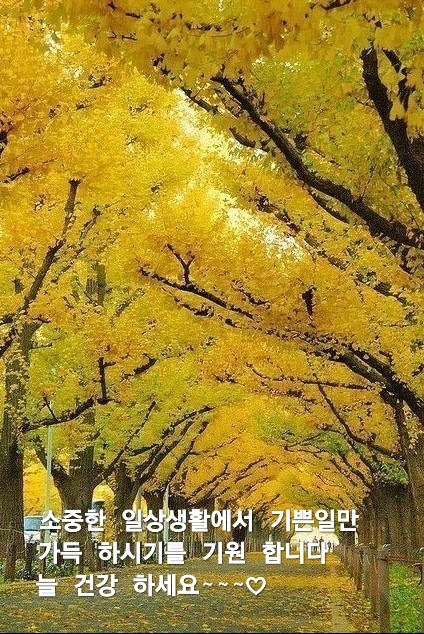 해피데이 이미지