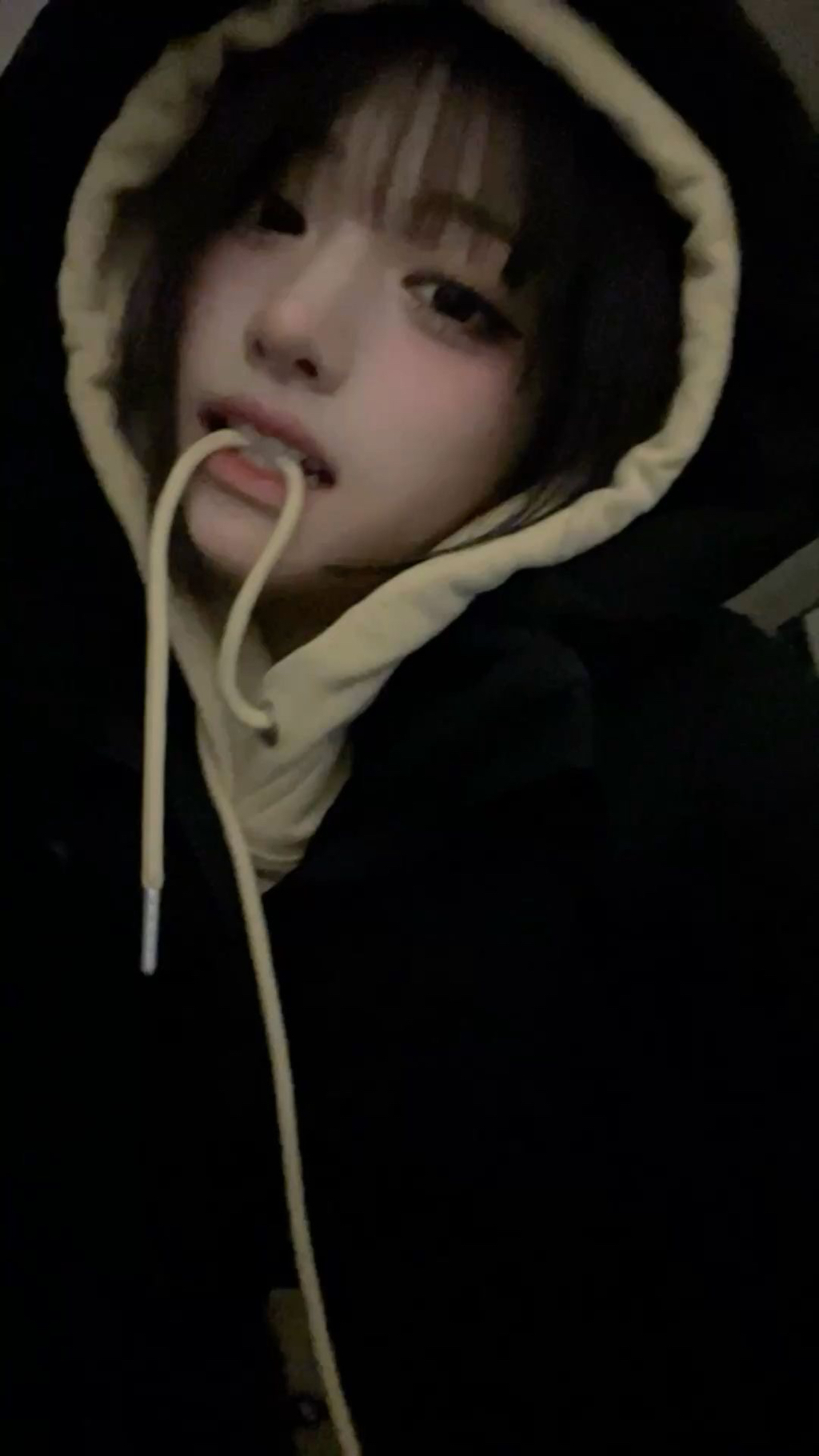 이뿌니 이미지