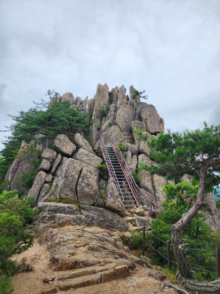 남산 이미지