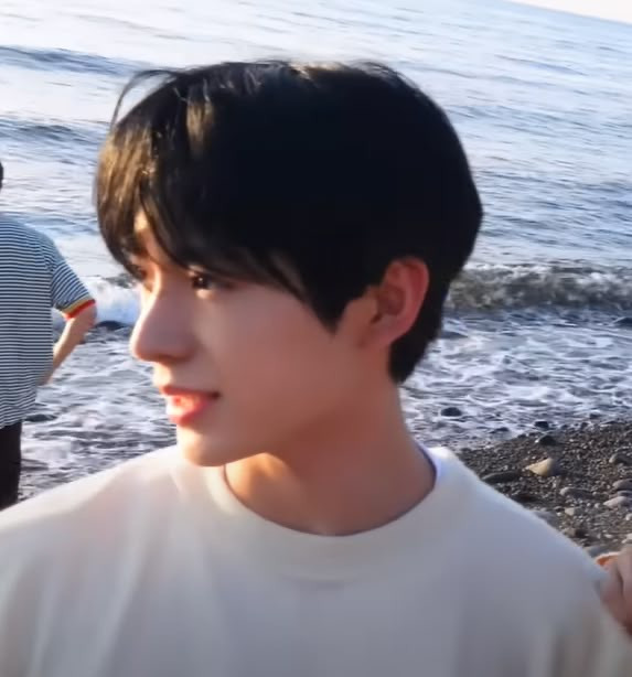 쇼우 이미지