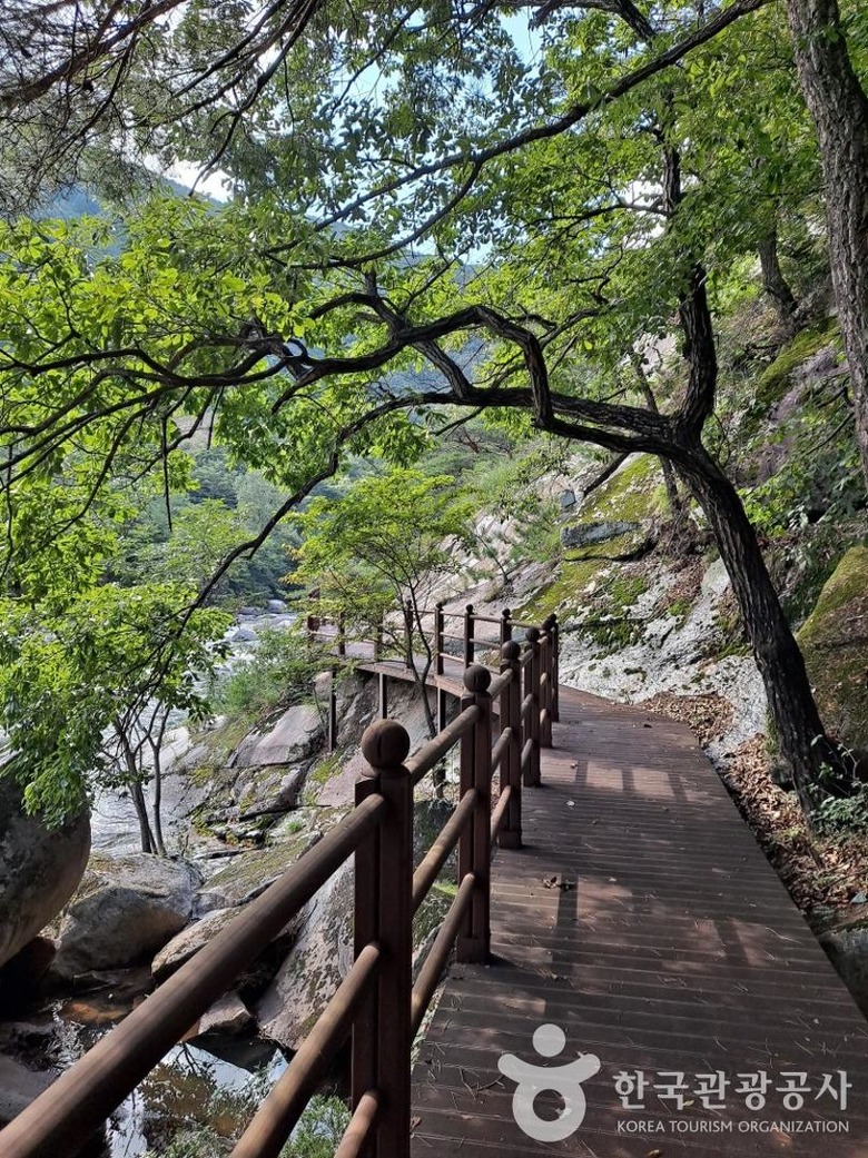 선암골 이미지