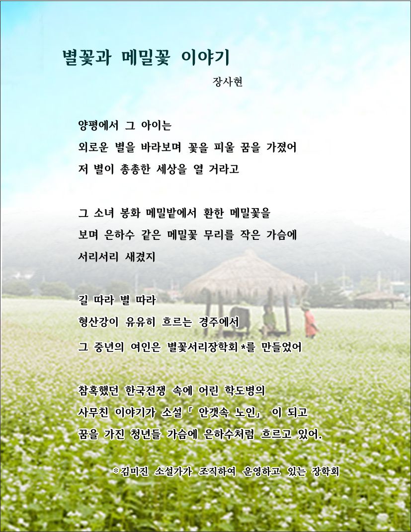메밀이야기 이미지