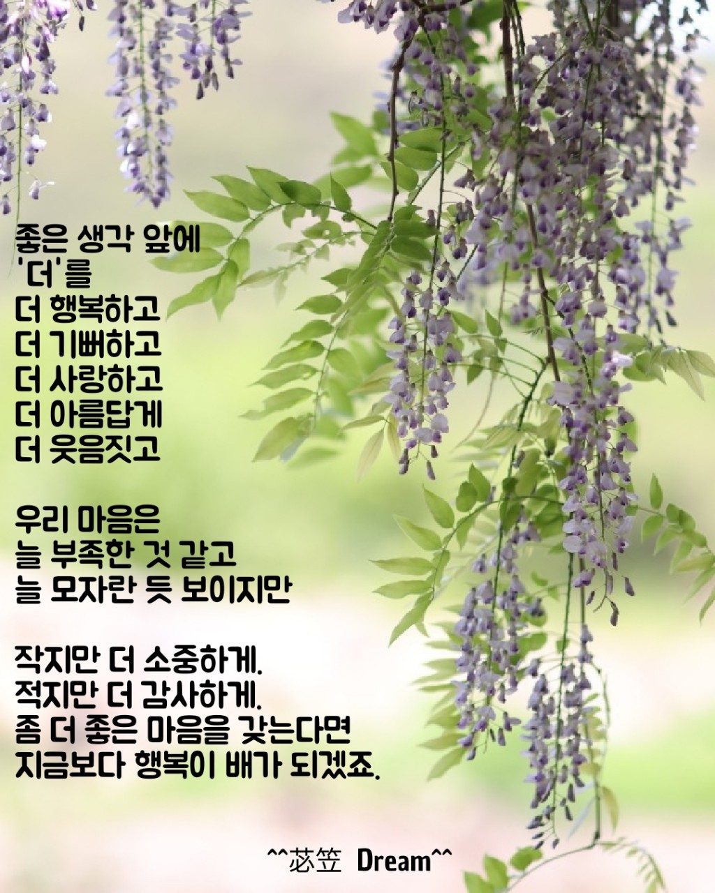 더믿음가득 이미지