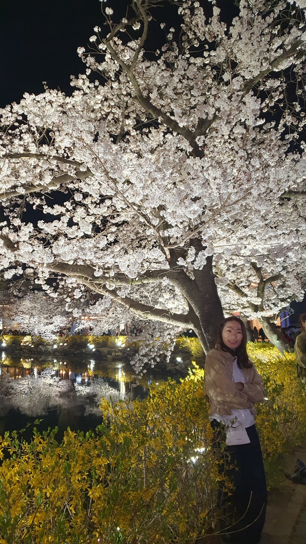 연화지 이미지
