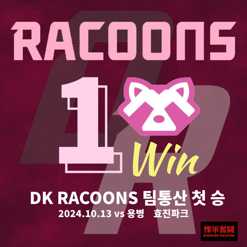 라쿤즈 이미지