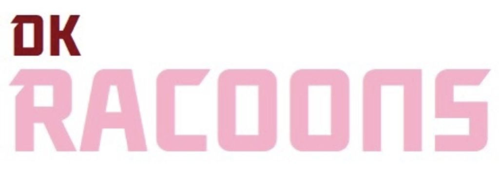 라쿤즈 이미지