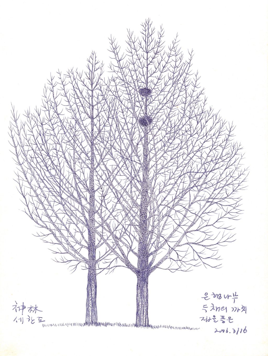 더나무 이미지