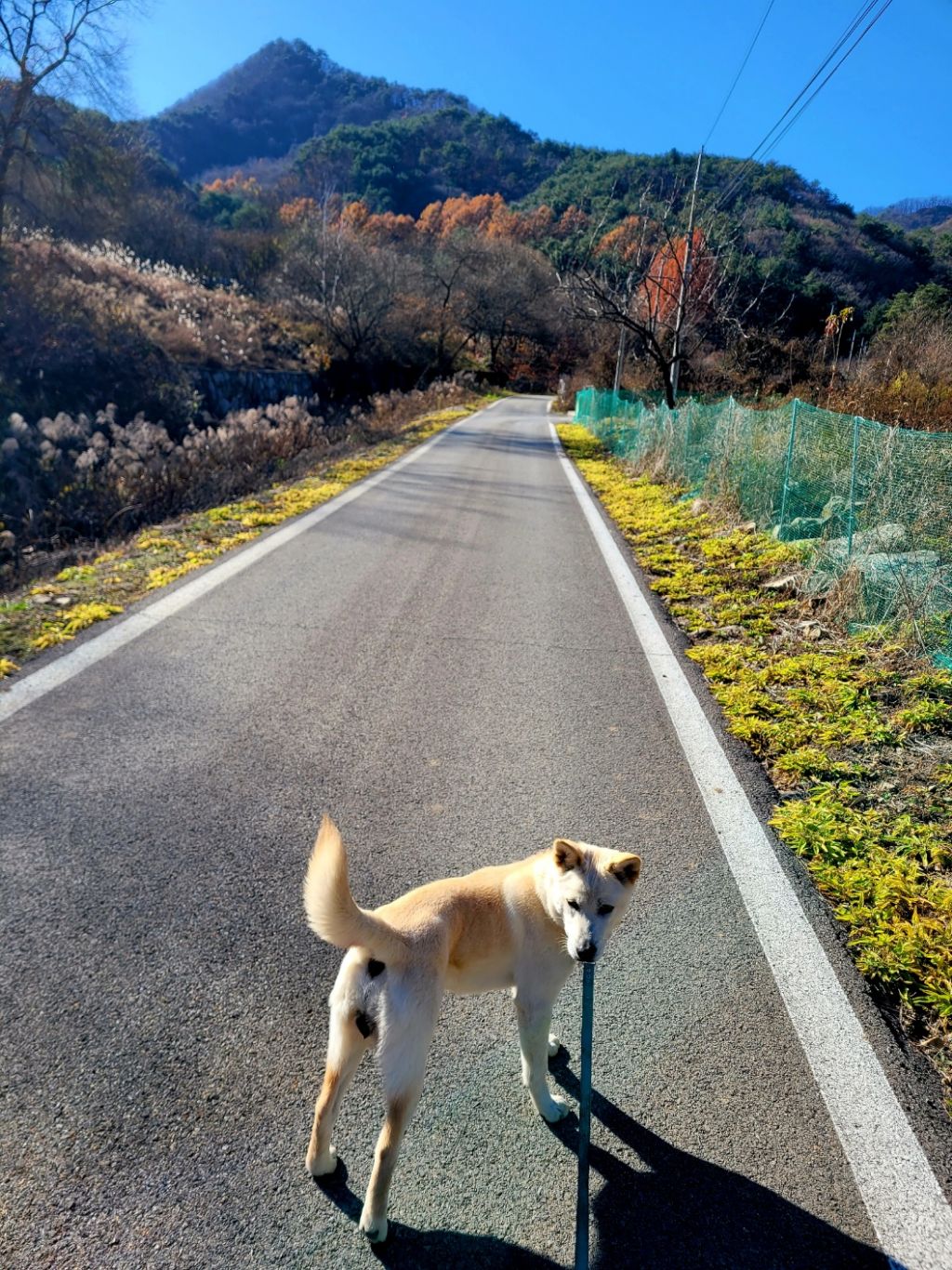 소망농원 이미지