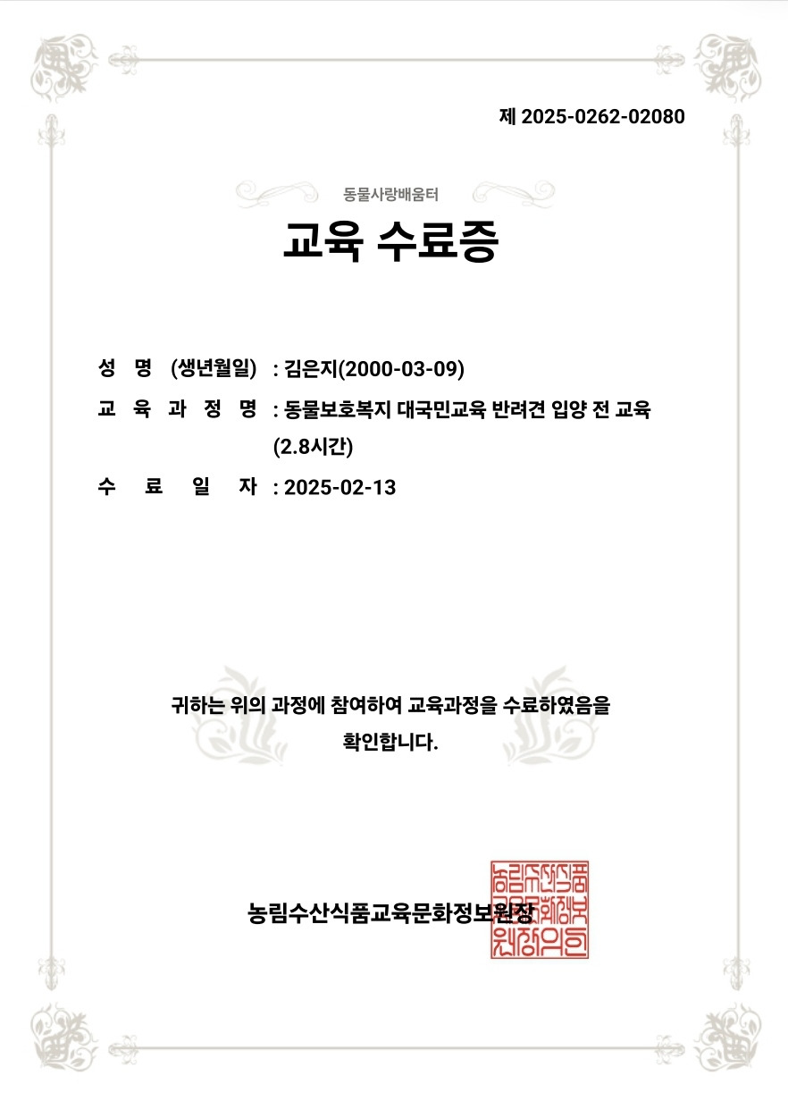 김은지 이미지