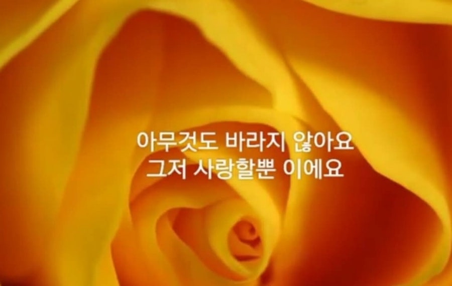 에이온 이미지