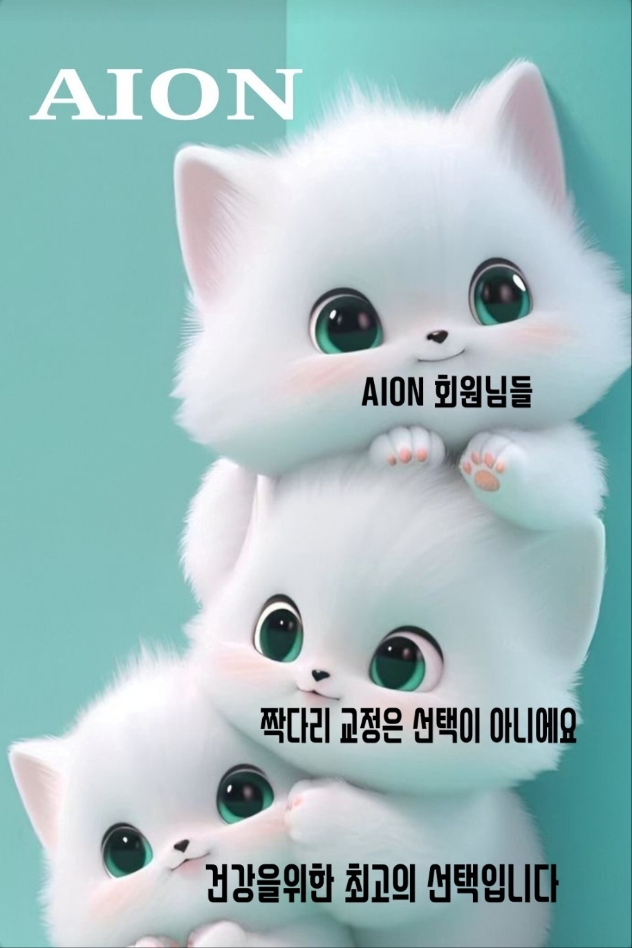 에이온 이미지