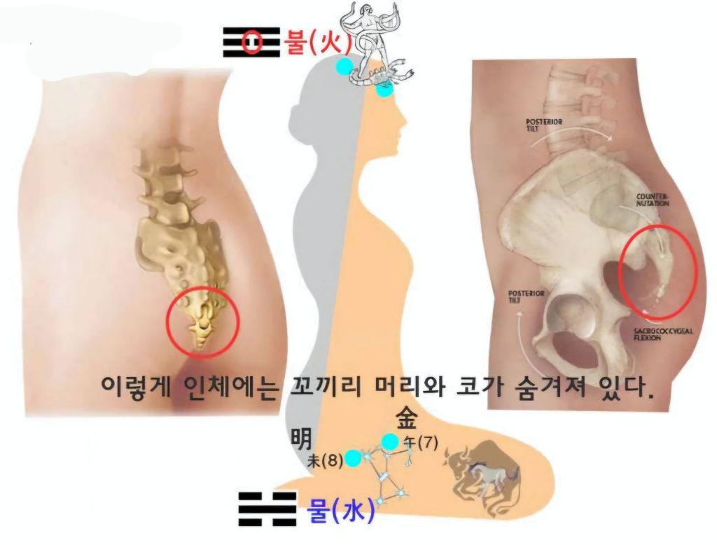 에이온 이미지