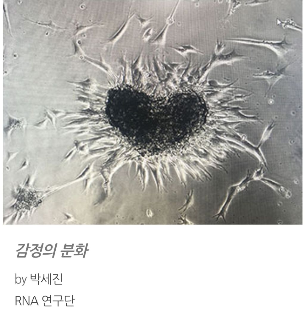 에이온 이미지