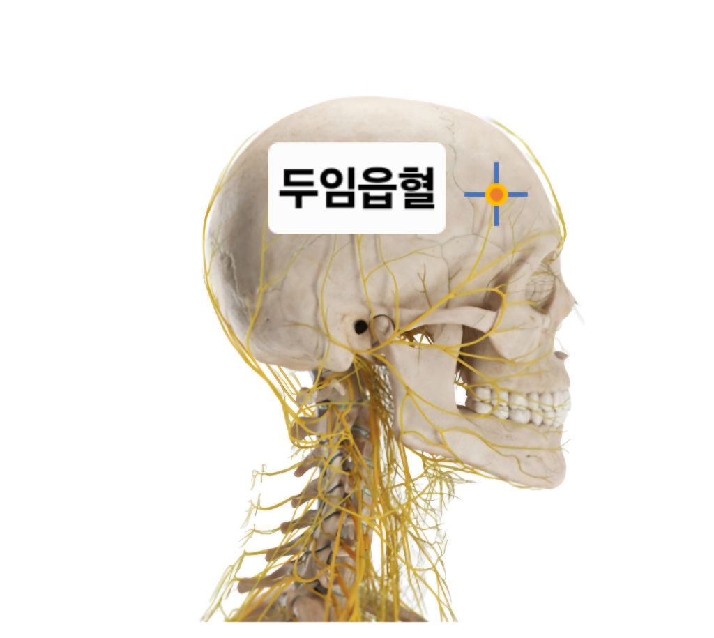 에이온 이미지