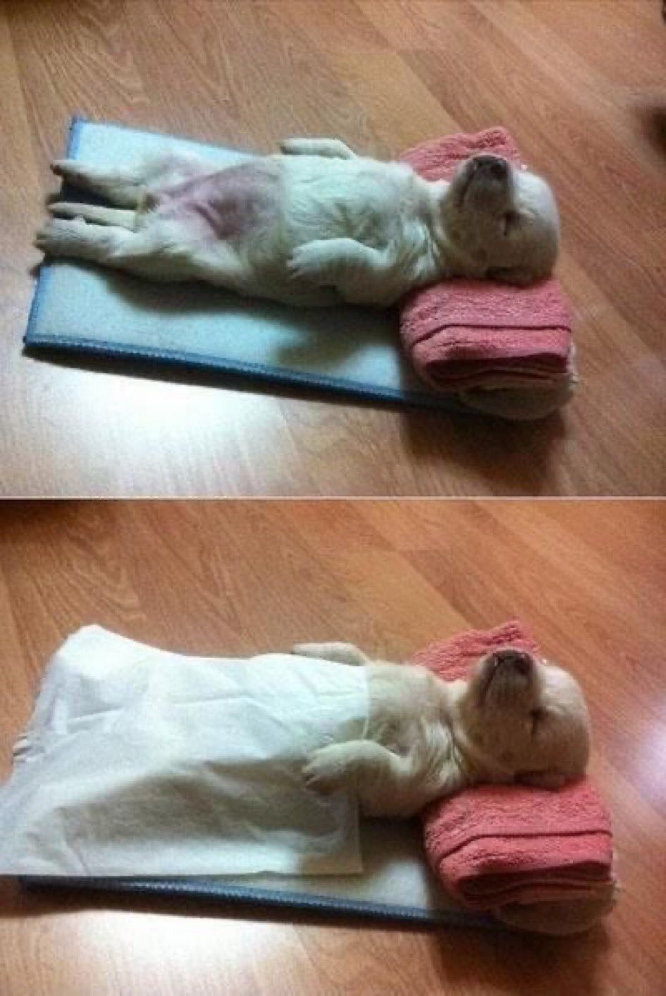 잘자 이미지