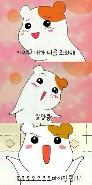 이-사람 이미지