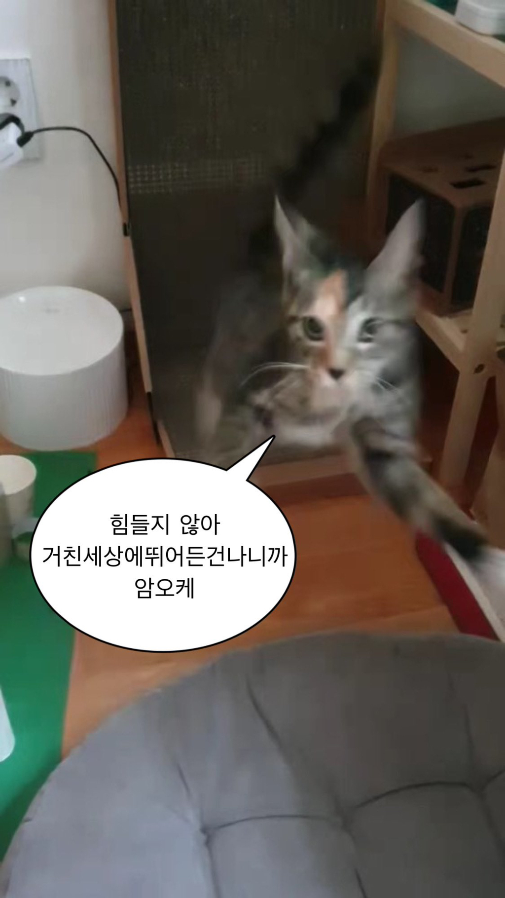 하루하루좋은집 이미지