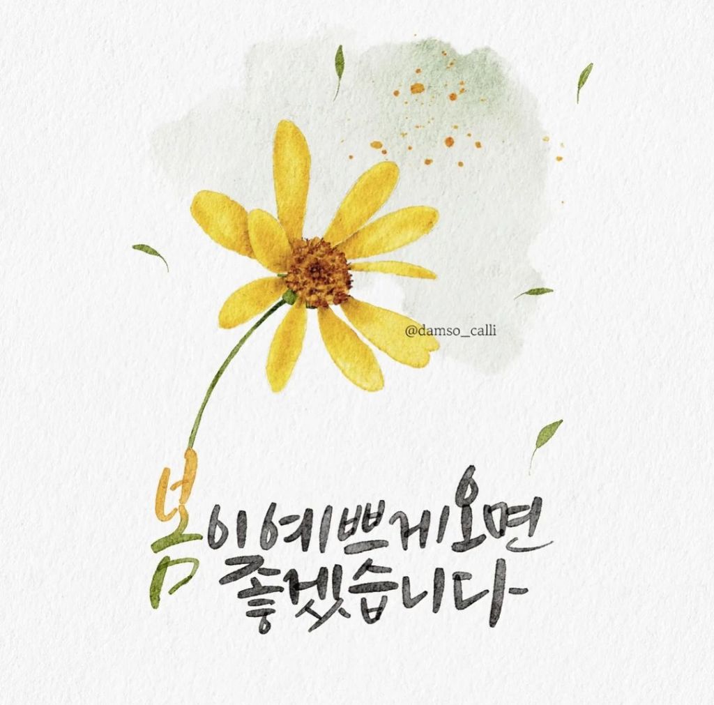 안온 이미지