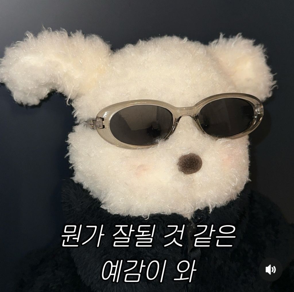 피어날 이미지