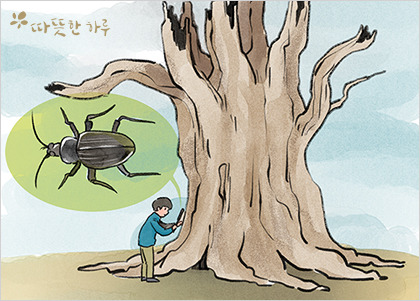 거목 이미지