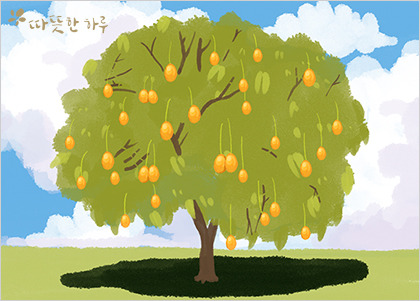 망고나무 이미지