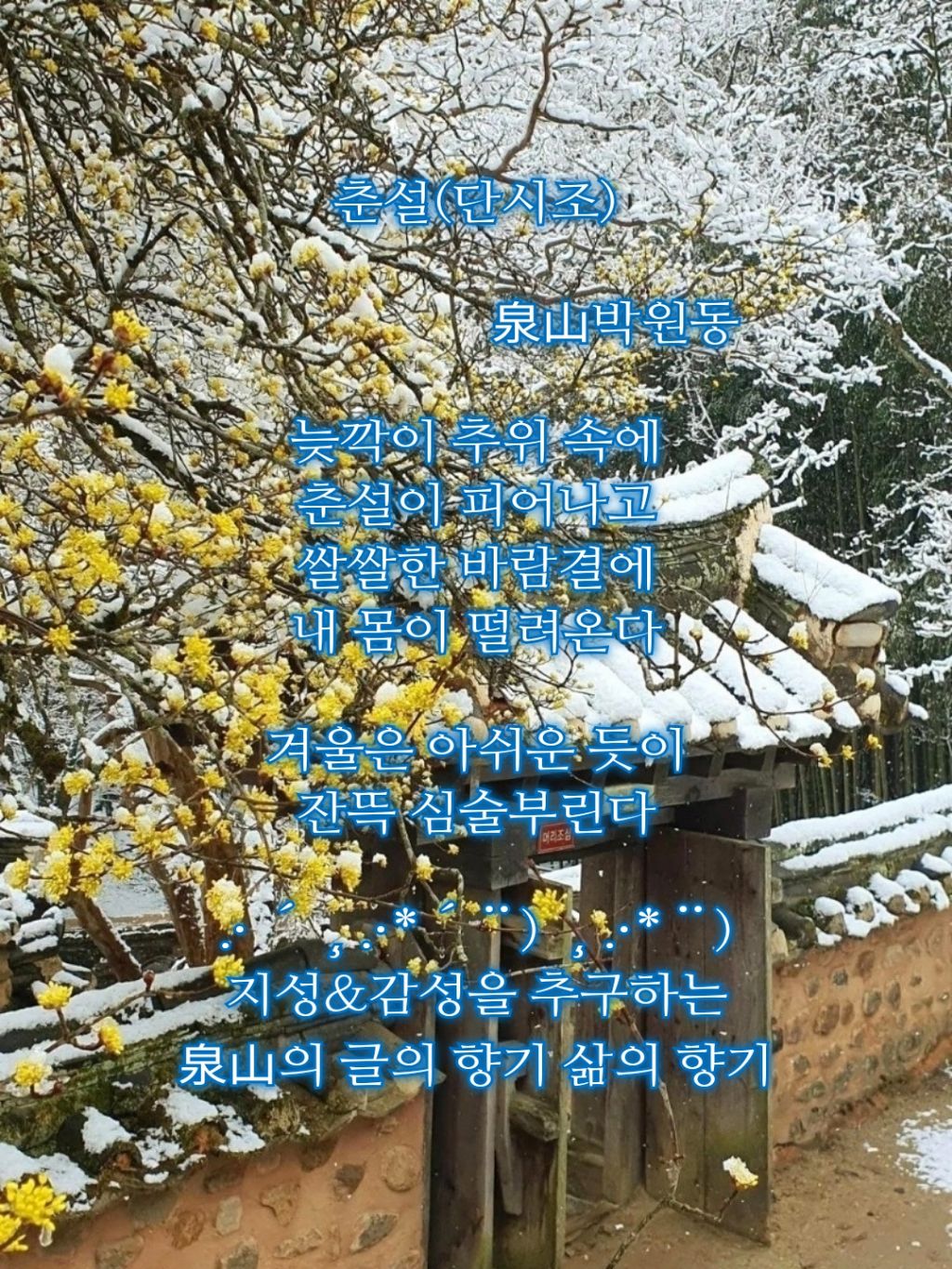 춘설 이미지