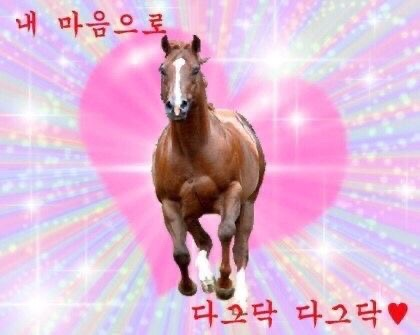 유*일 이미지